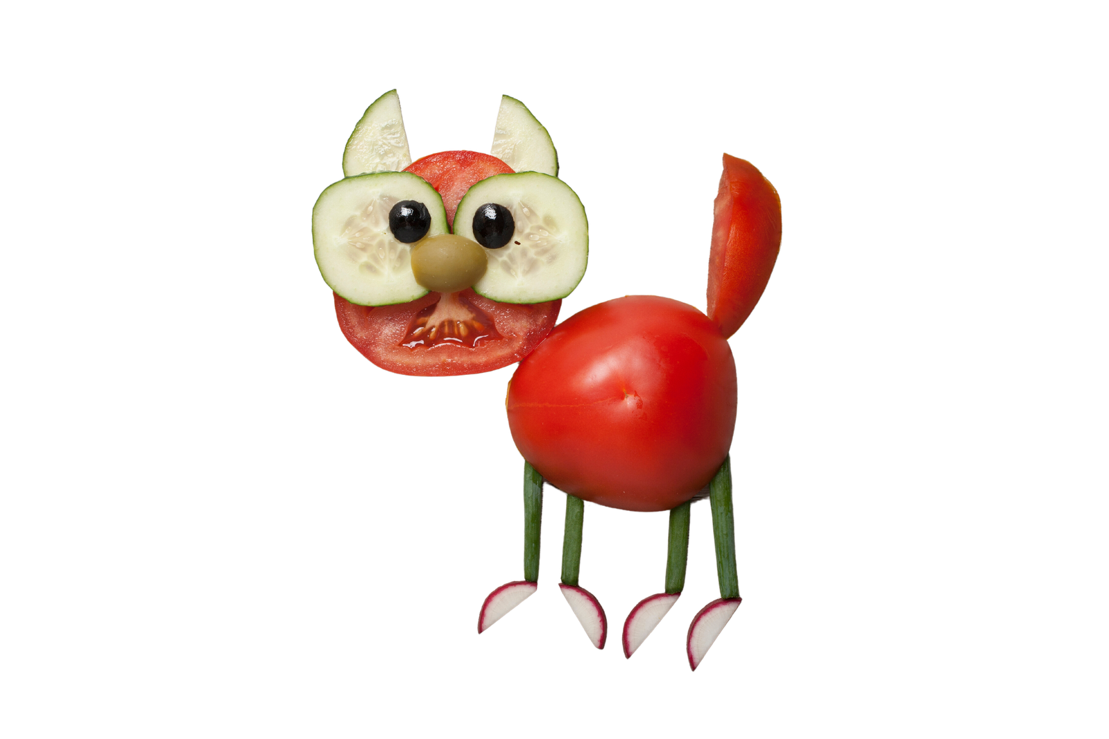 Creative vegetable cat illustration